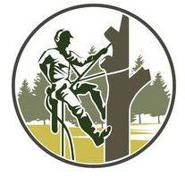 Cutting Edge Tree Management team