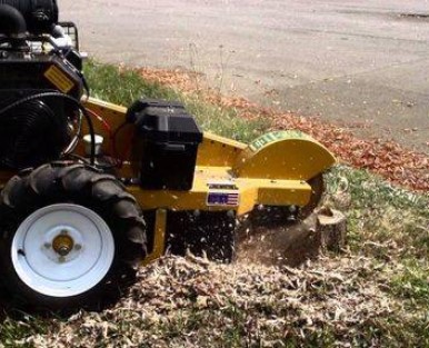 Stump grinding in Ballarat