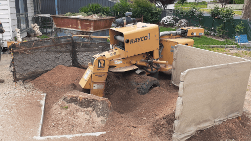 Stump grinding result